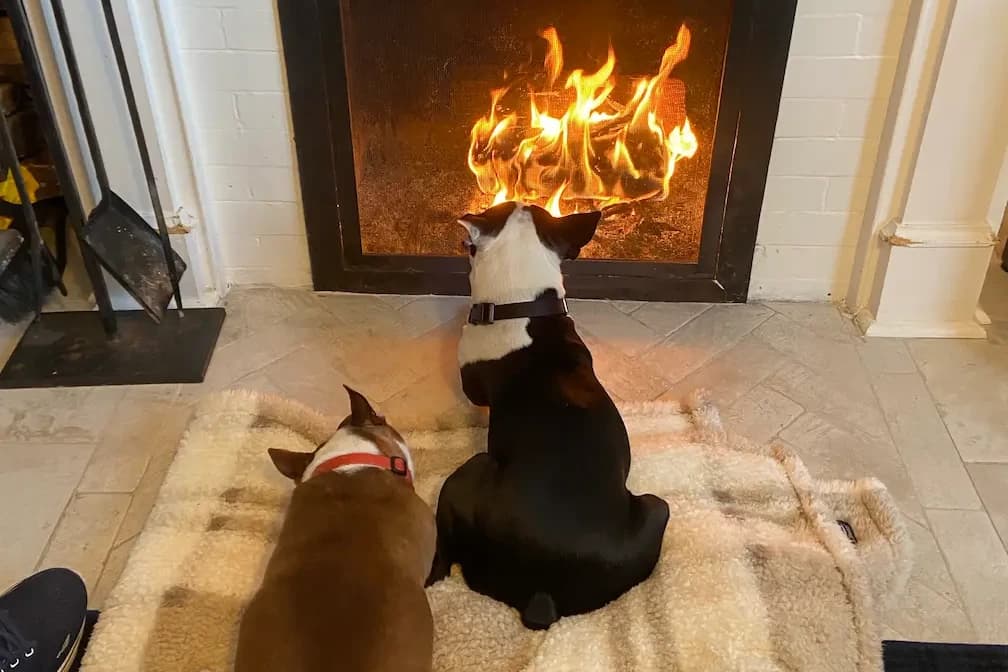 Peter McGinley - Personal Image